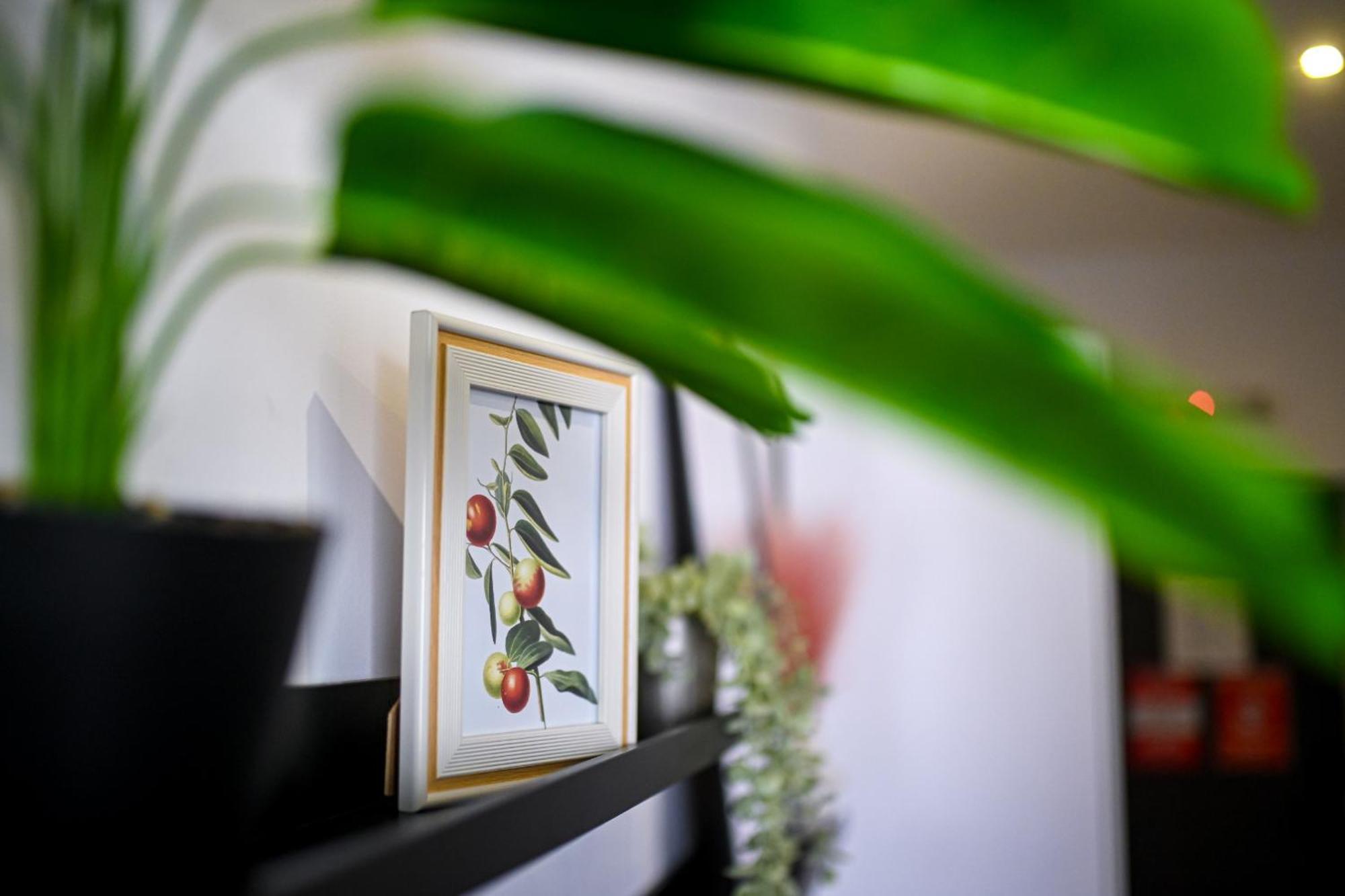 Urban Elegance - Stylish Central Accommodation Bucureşti Phòng bức ảnh